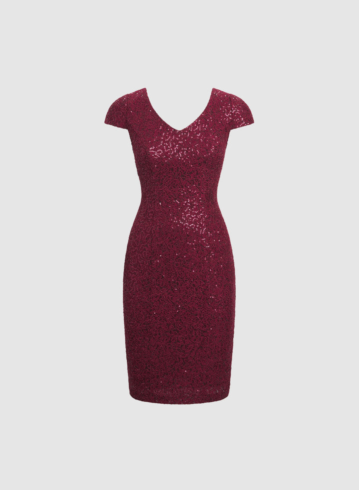 Sequin Fitted Dress