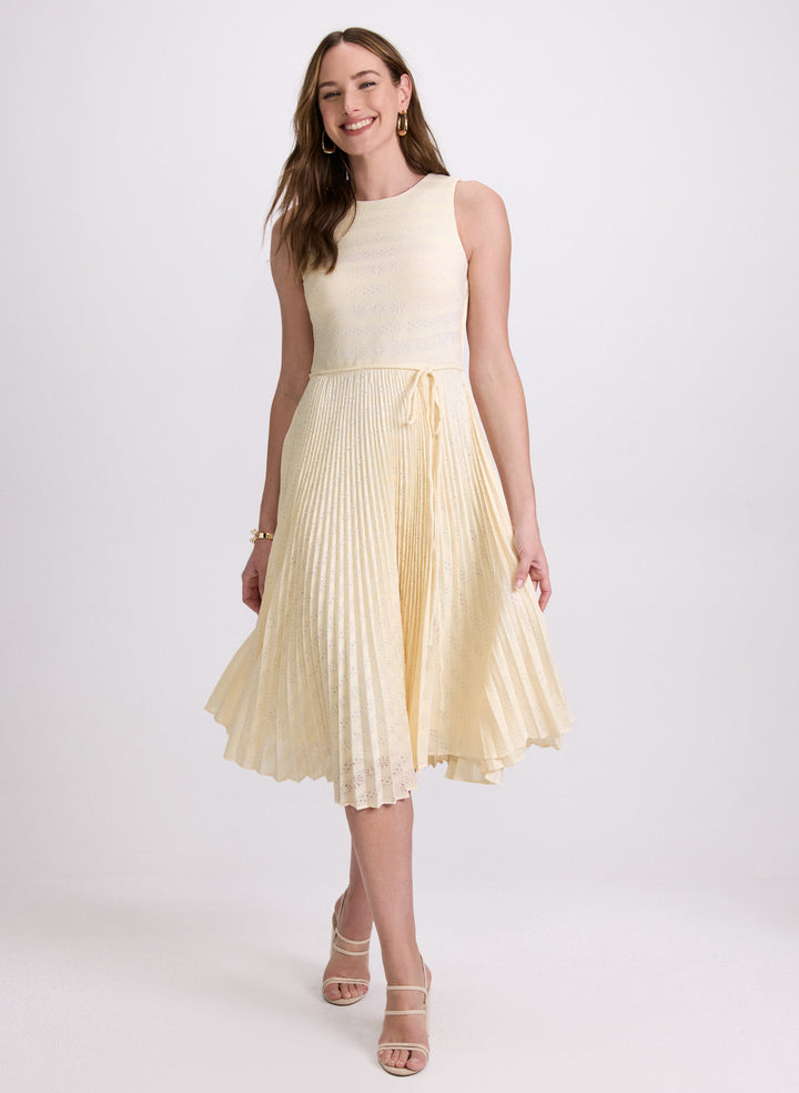 Striped Lace Dress