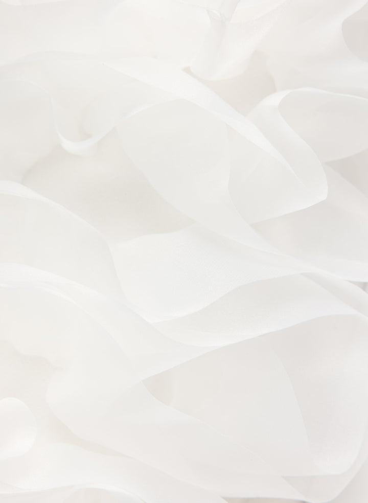 Organza Applique Dress