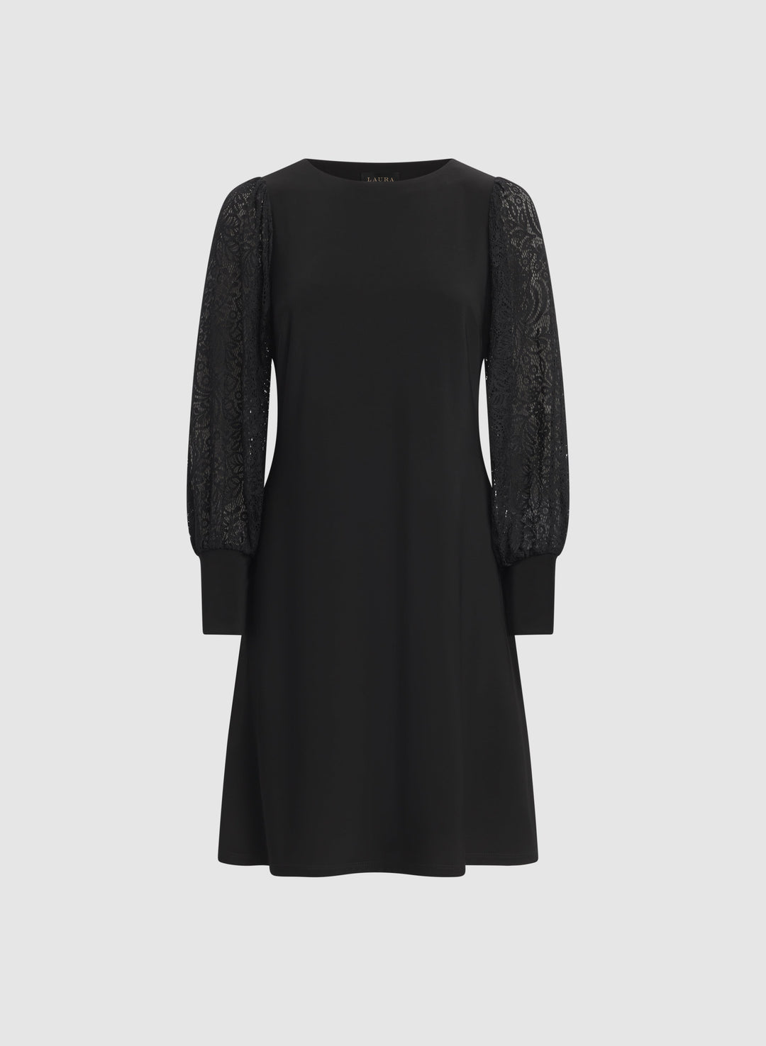 Lace Sleeve Dress