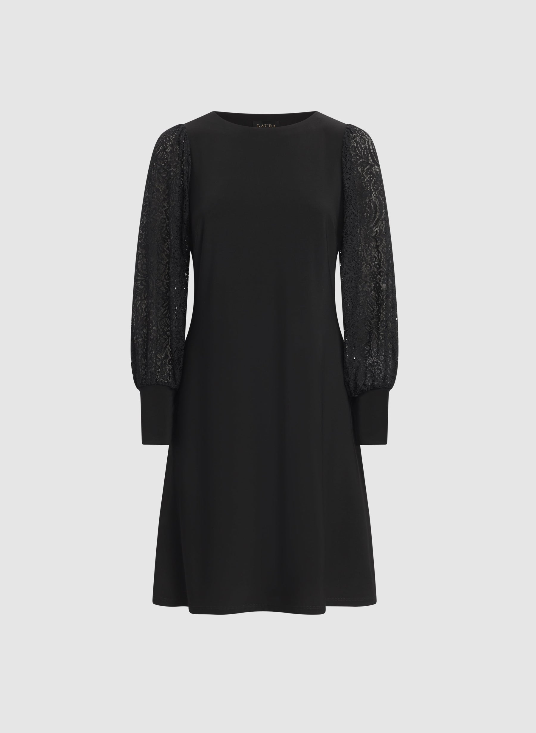 Lace Sleeve Dress