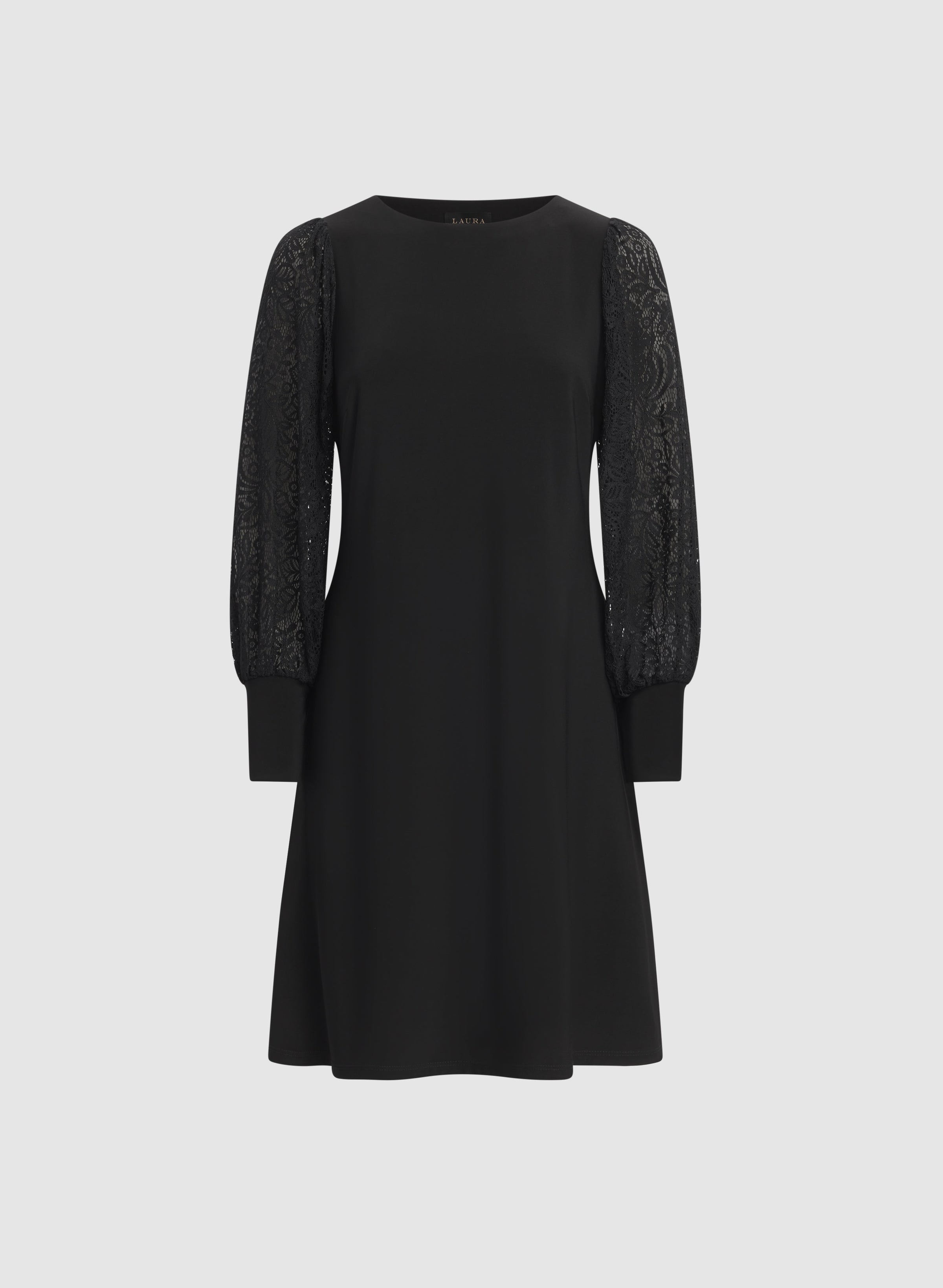 Lace Sleeve Dress