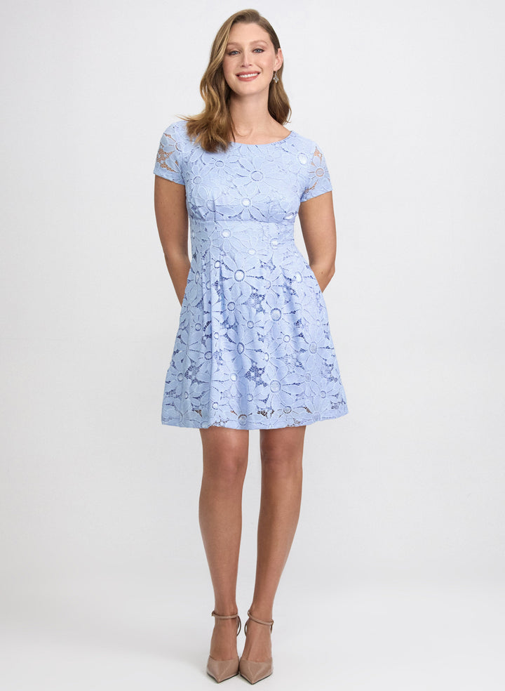 Lace Empire Waist Dress