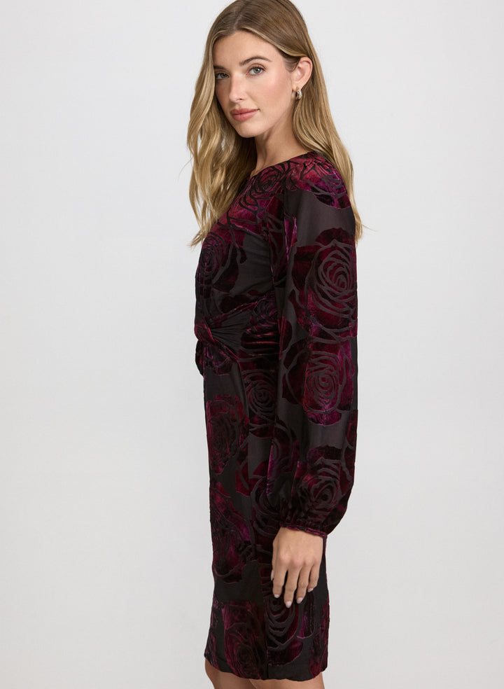 Rose Velvet Dress