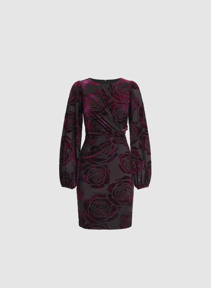 Rose Velvet Dress