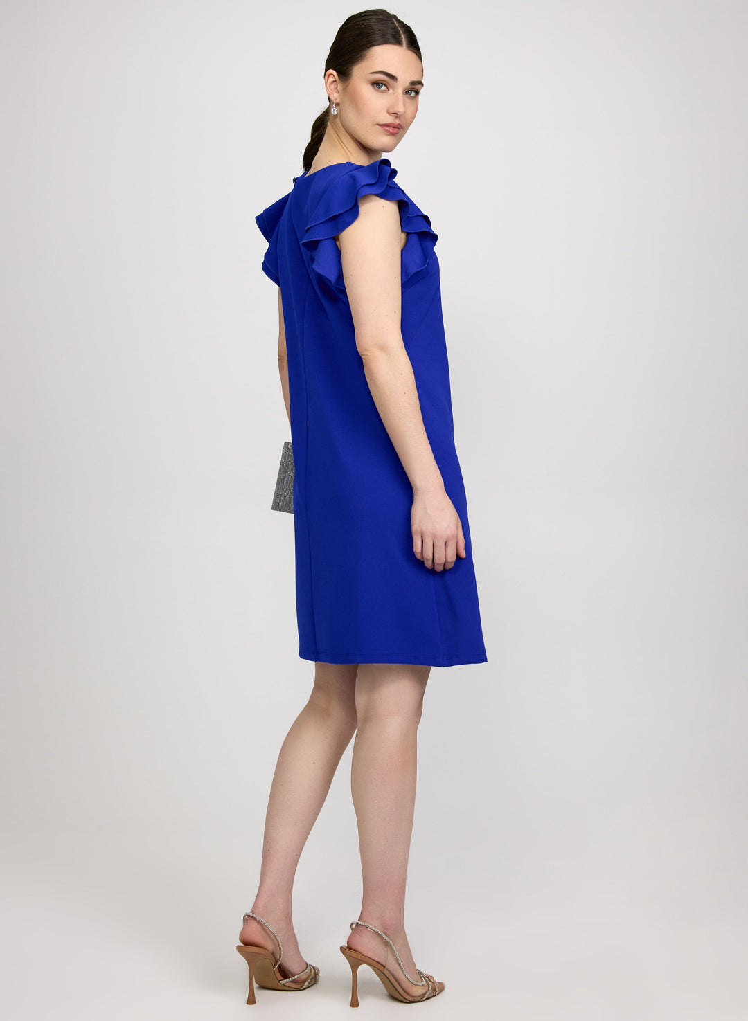 Ruffle Sleeve Dress