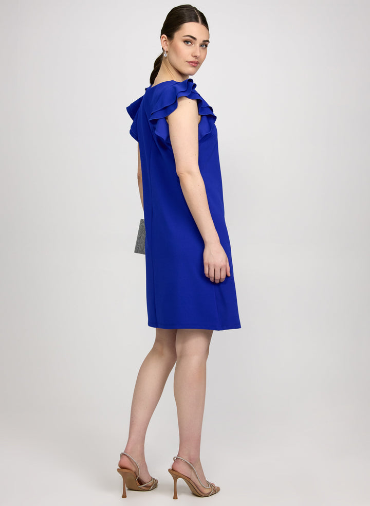 Ruffle Sleeve Dress