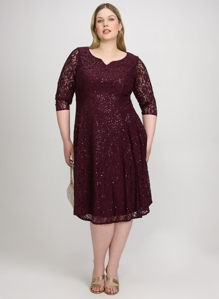 Sequined Lace Dress