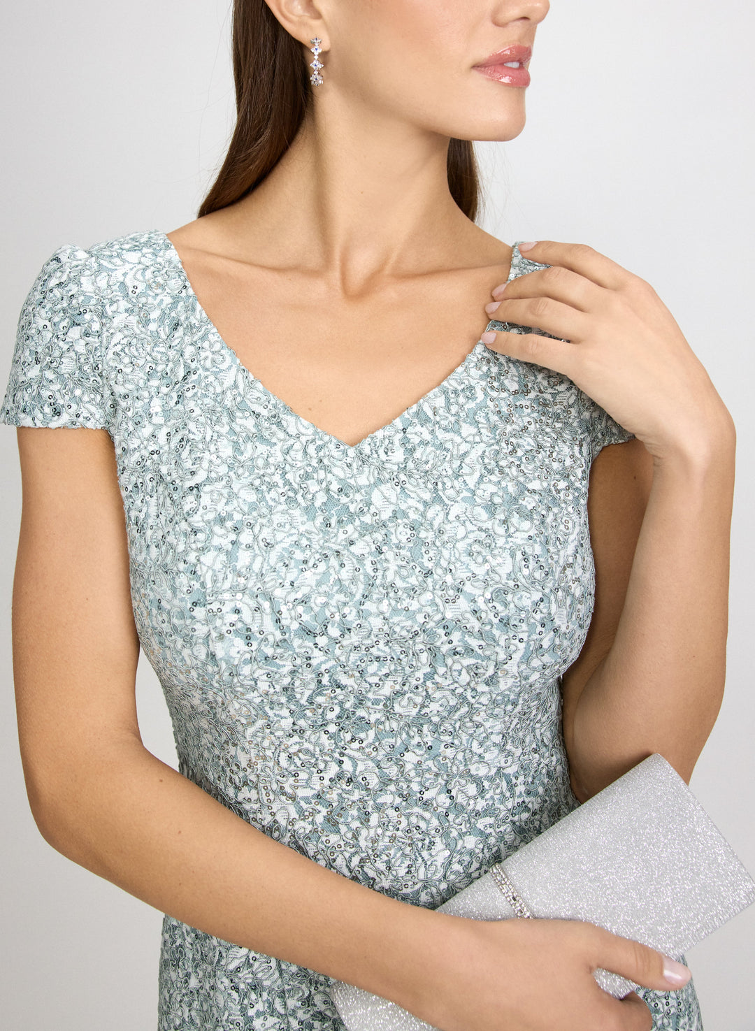 Sequined Lace Dress