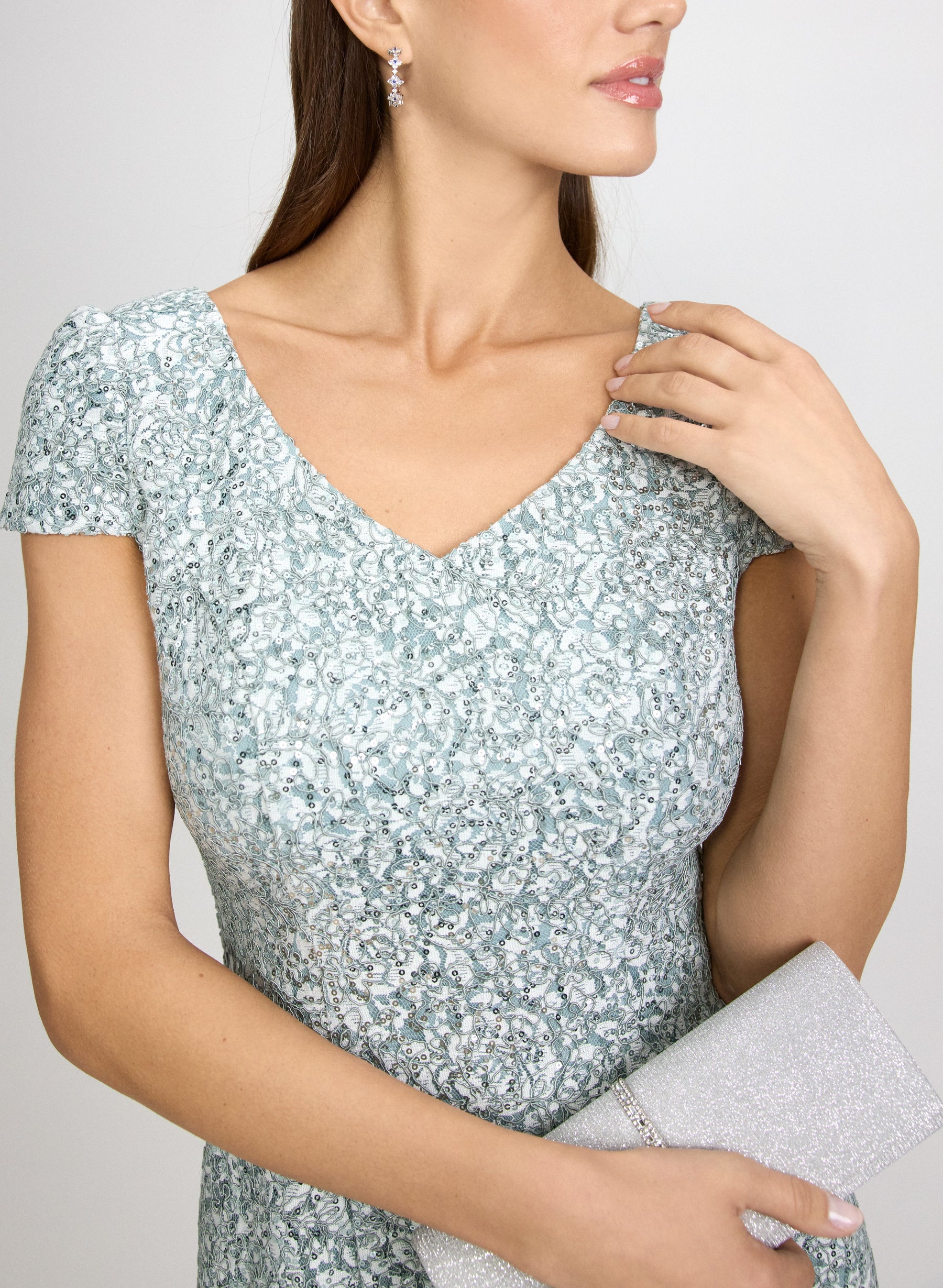 Sequined Lace Dress