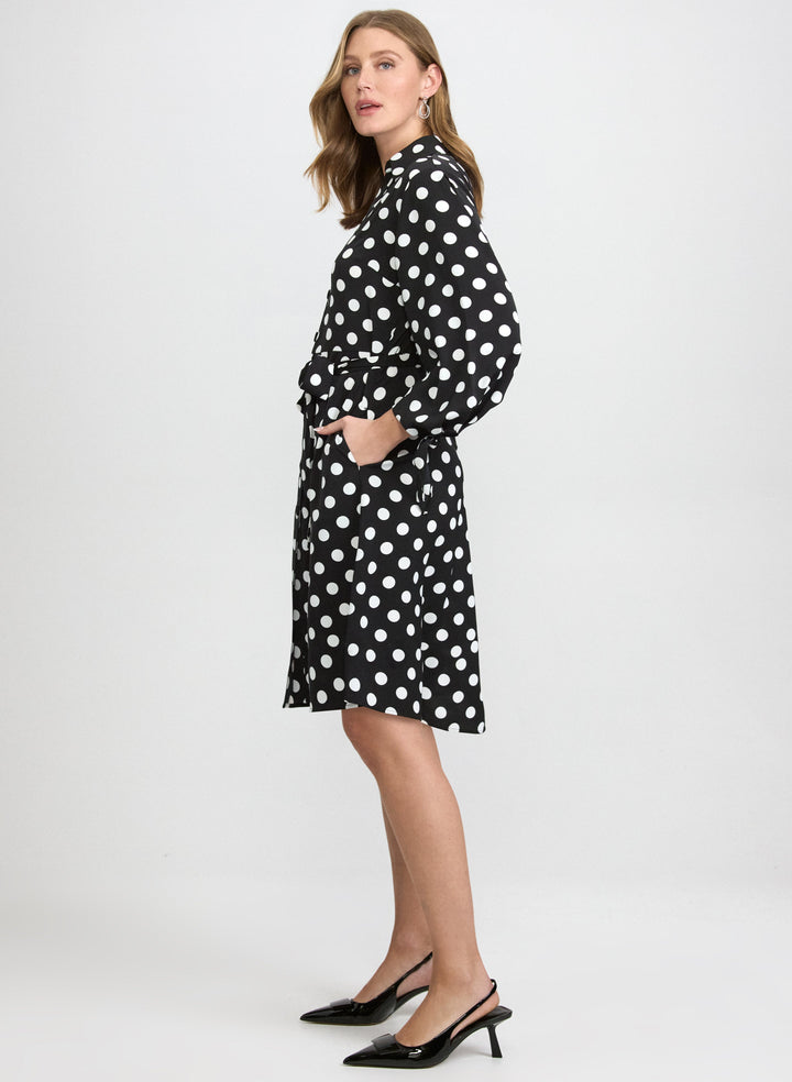 Polka Dot Shirt Dress