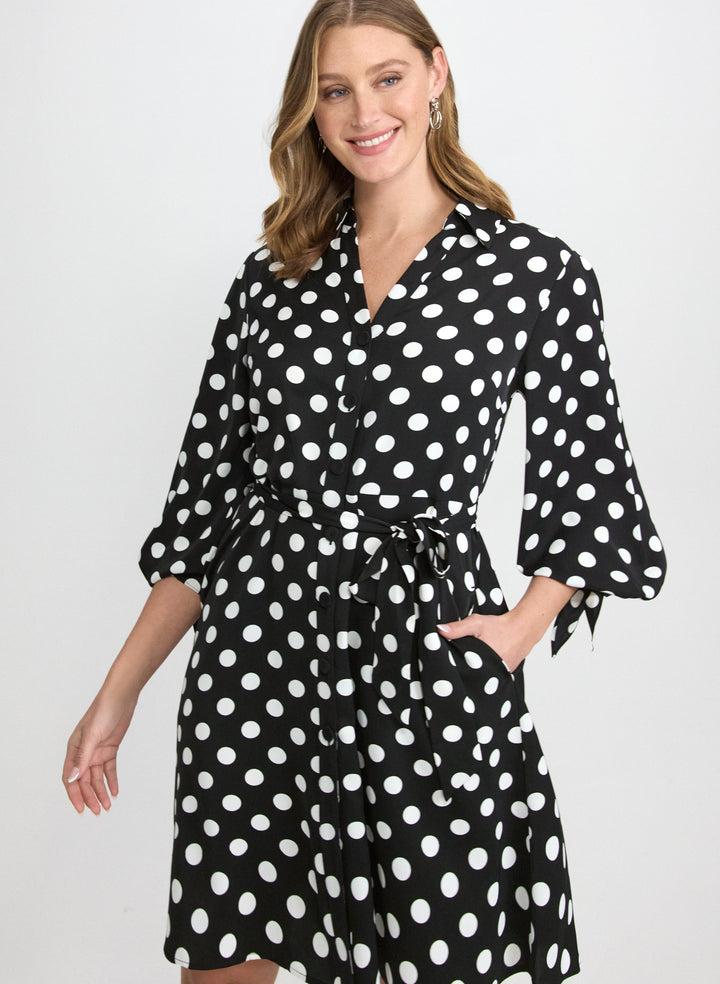 Polka Dot Shirt Dress
