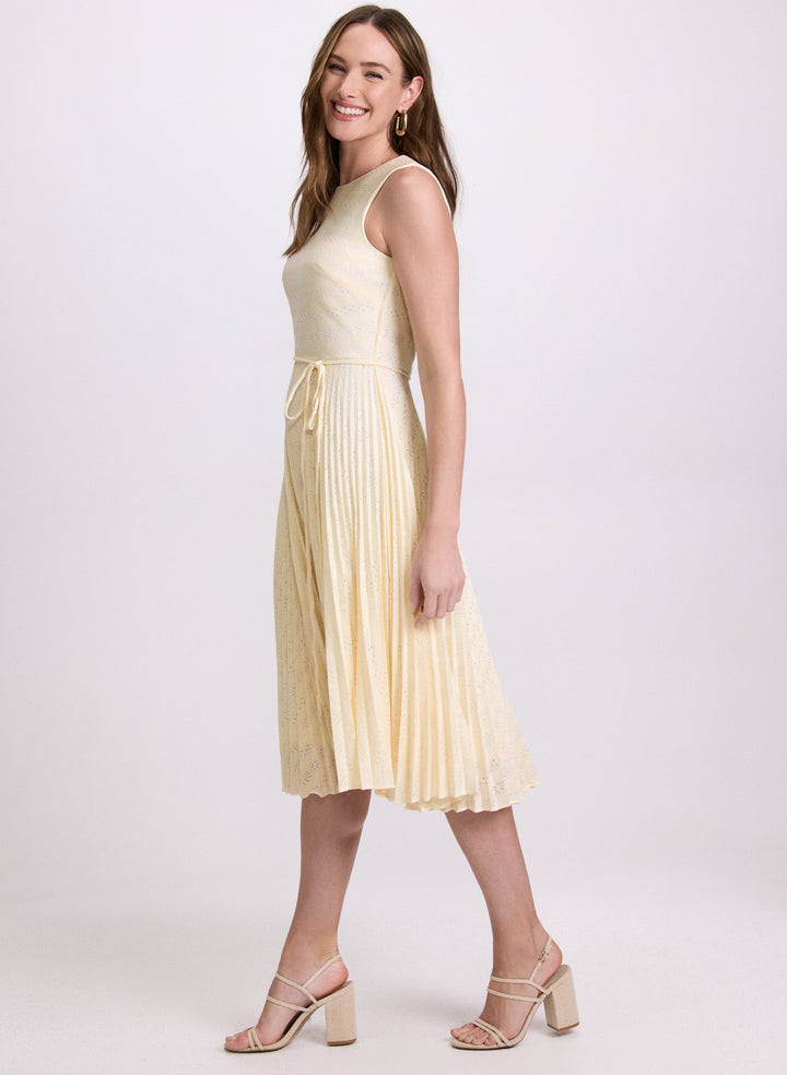 Striped Lace Dress