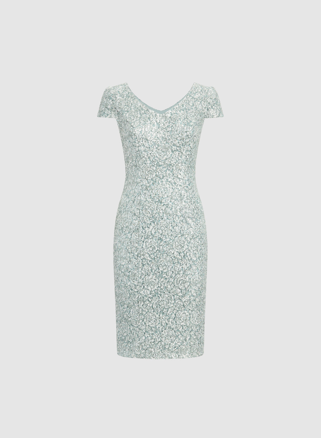 Sequined Lace Dress
