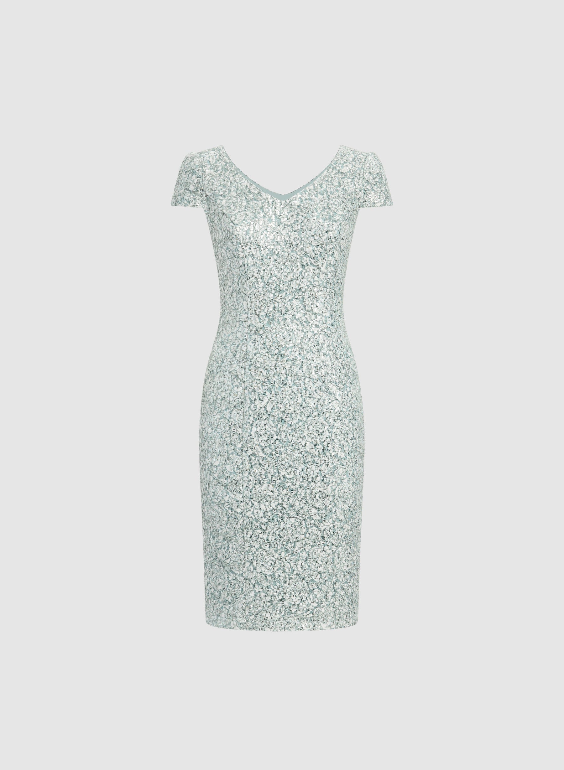 Sequined Lace Dress