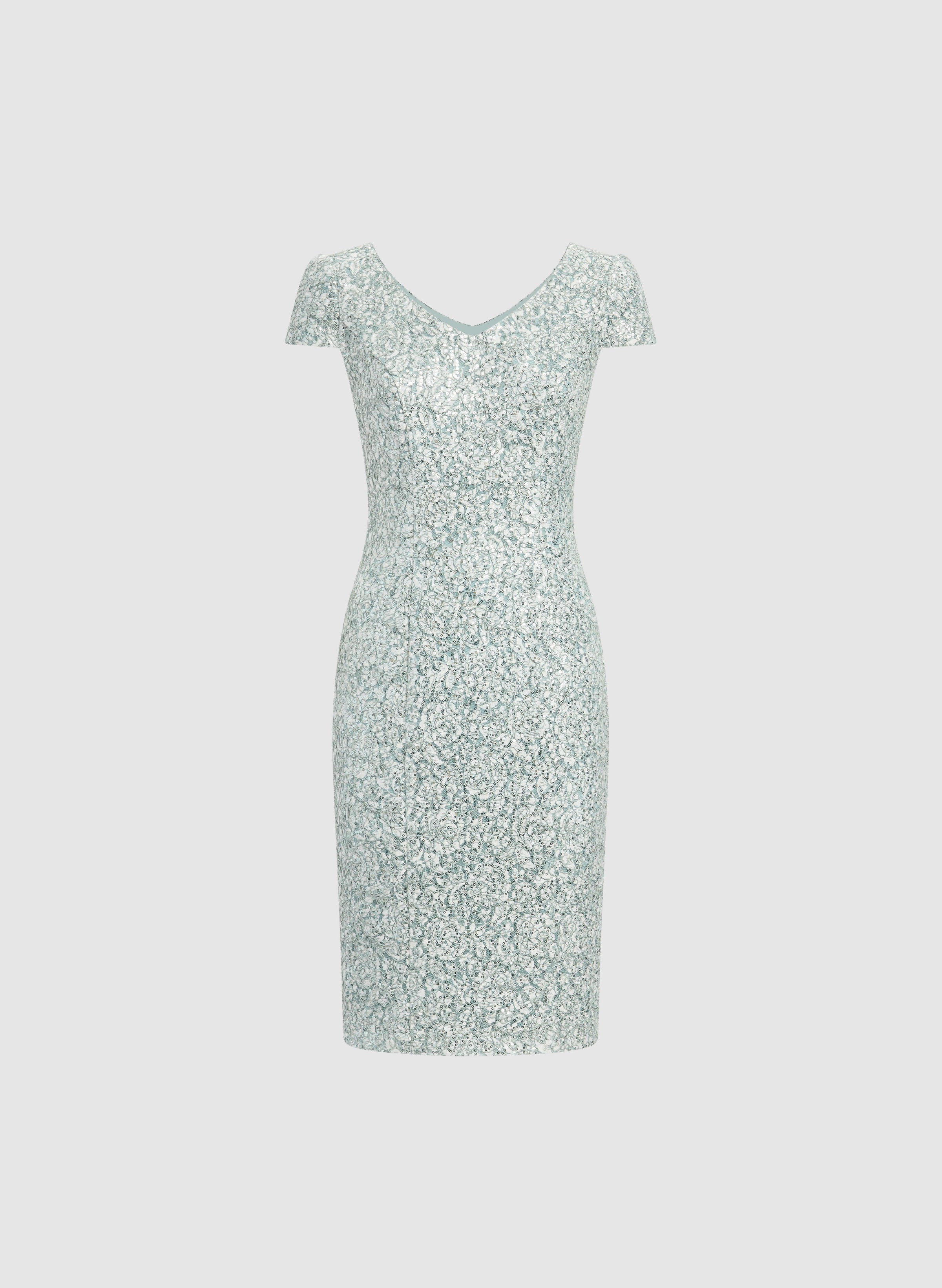 Sequined Lace Dress