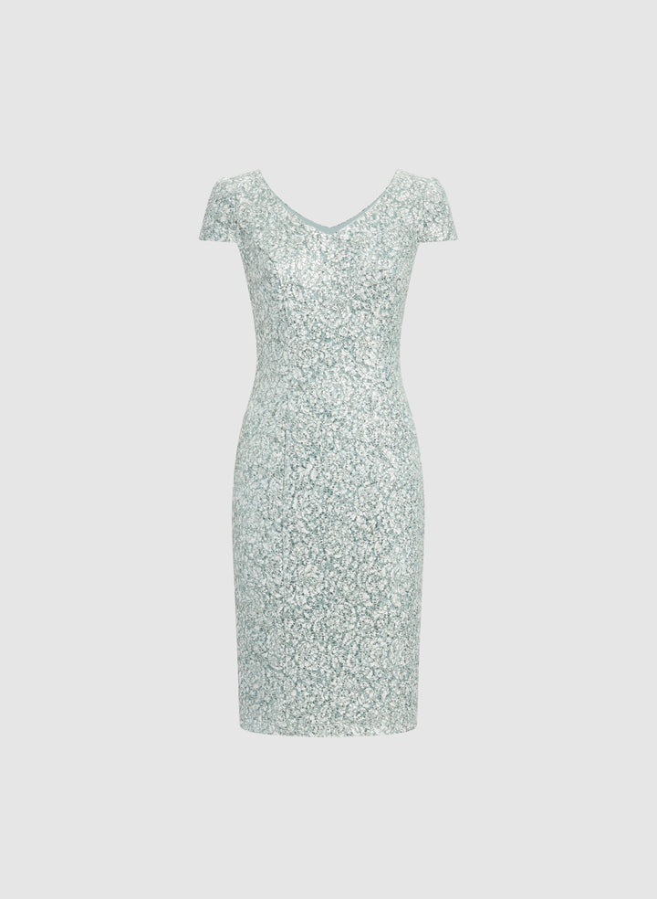 Sequined Lace Dress