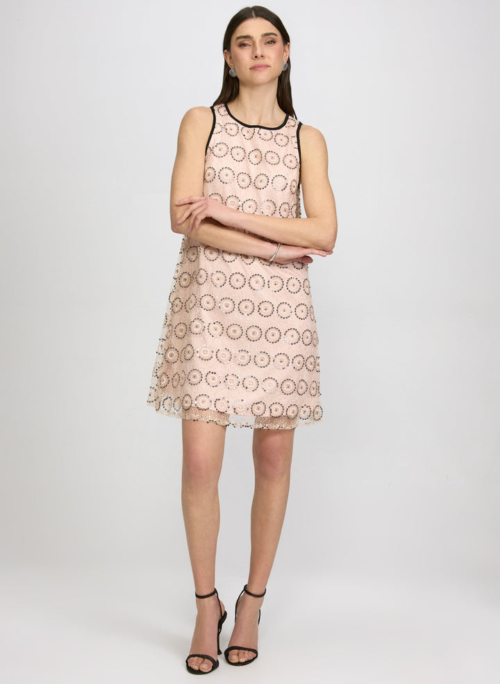 Embroidered Lace Dress