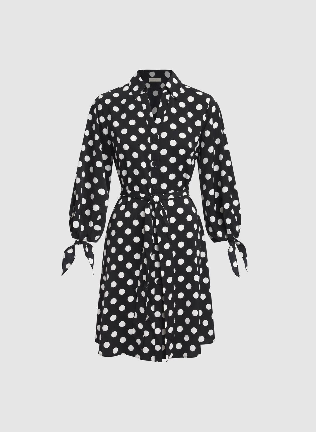 Polka Dot Shirt Dress