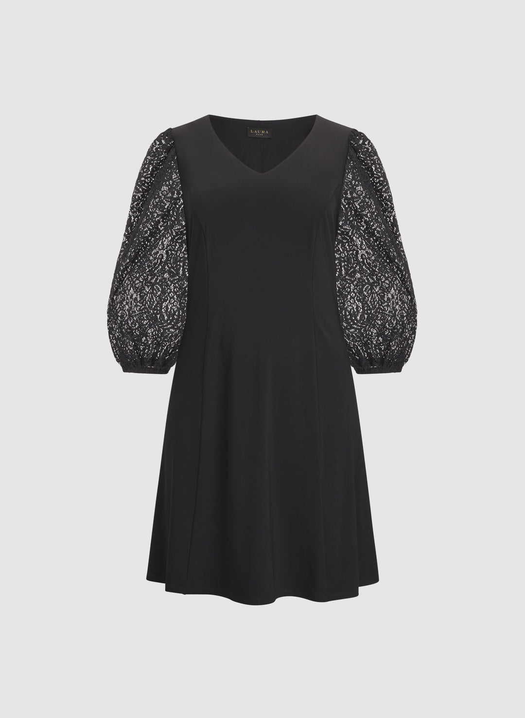 Lace Sleeve Dress