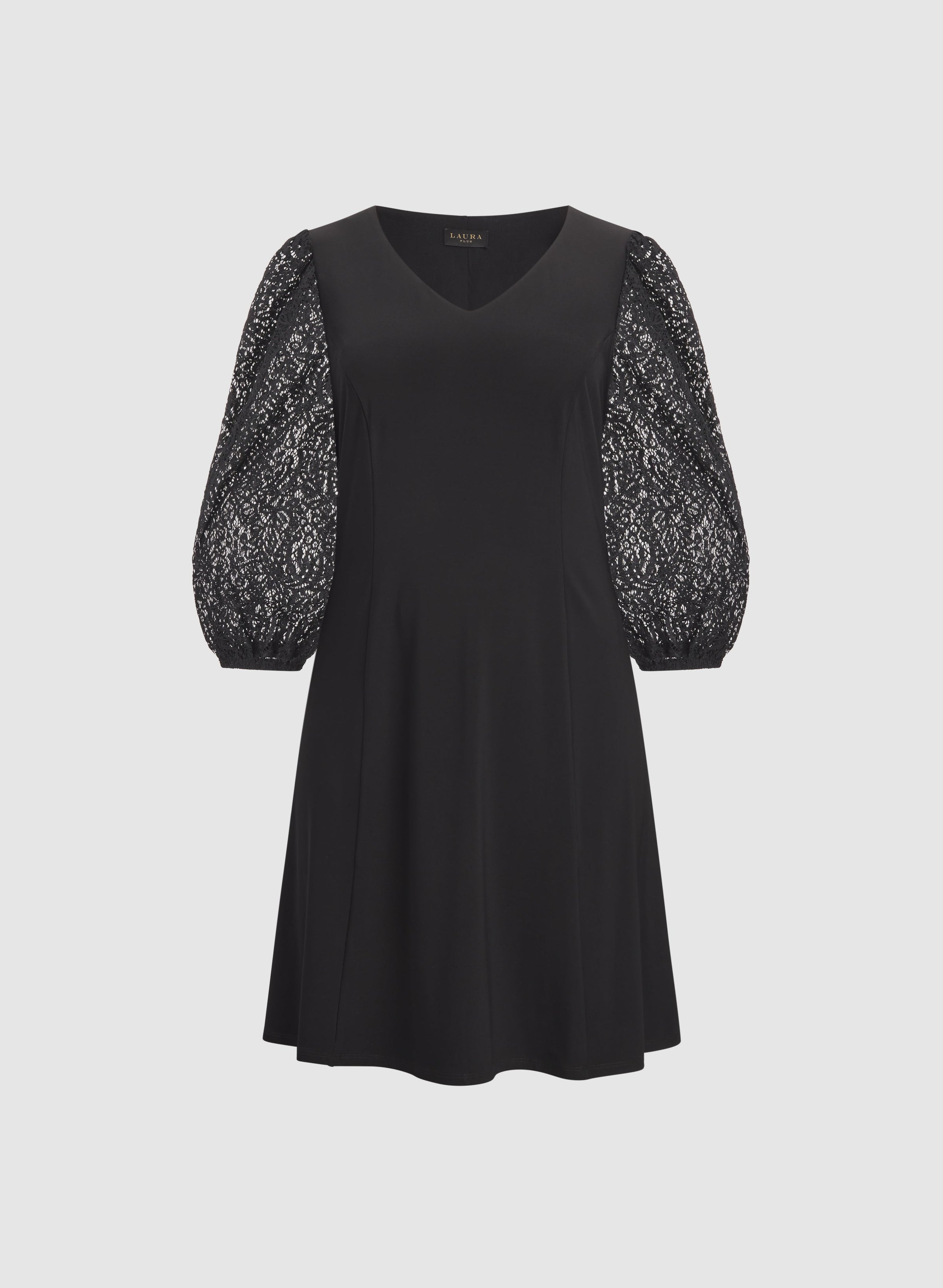 Lace Sleeve Dress