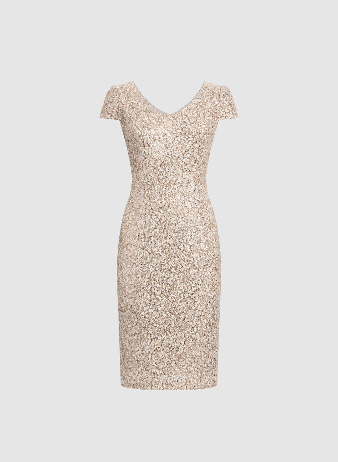 Sequined Lace Dress