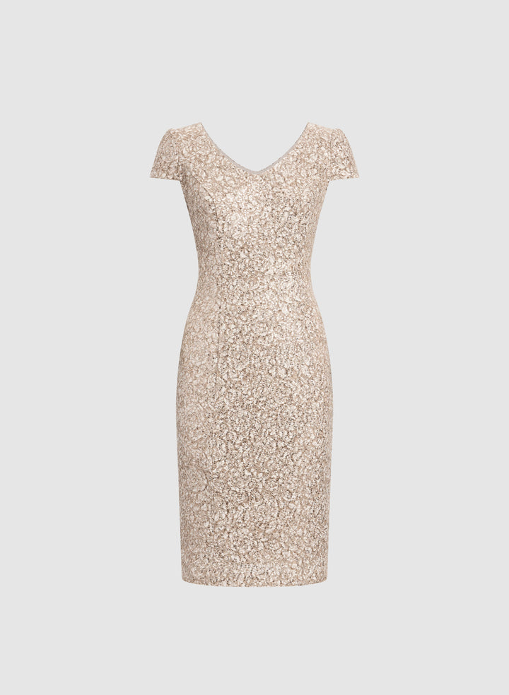 Sequined Lace Dress