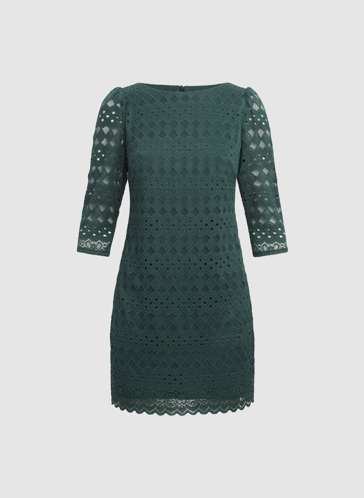 Fitted Lace Dress