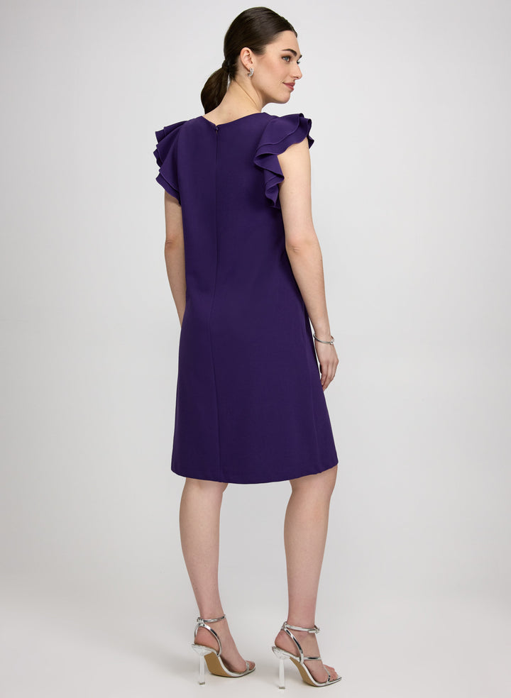 Ruffle Sleeve Dress