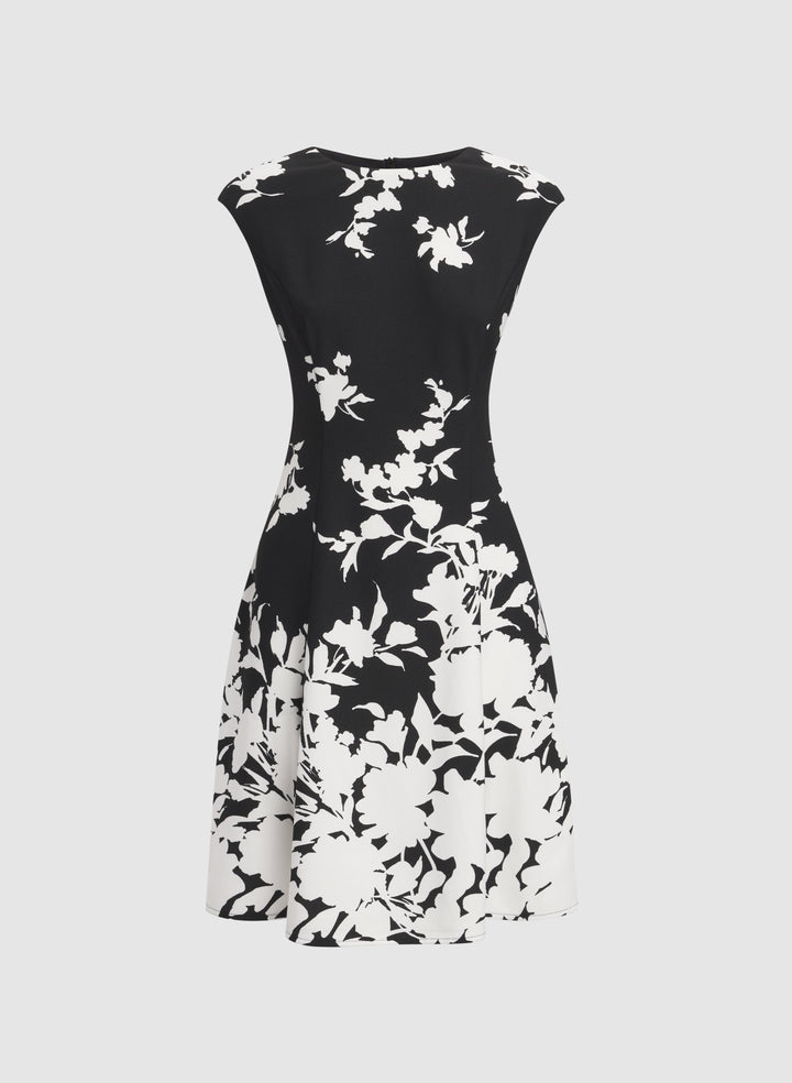 Floral Fit & Flare Dress