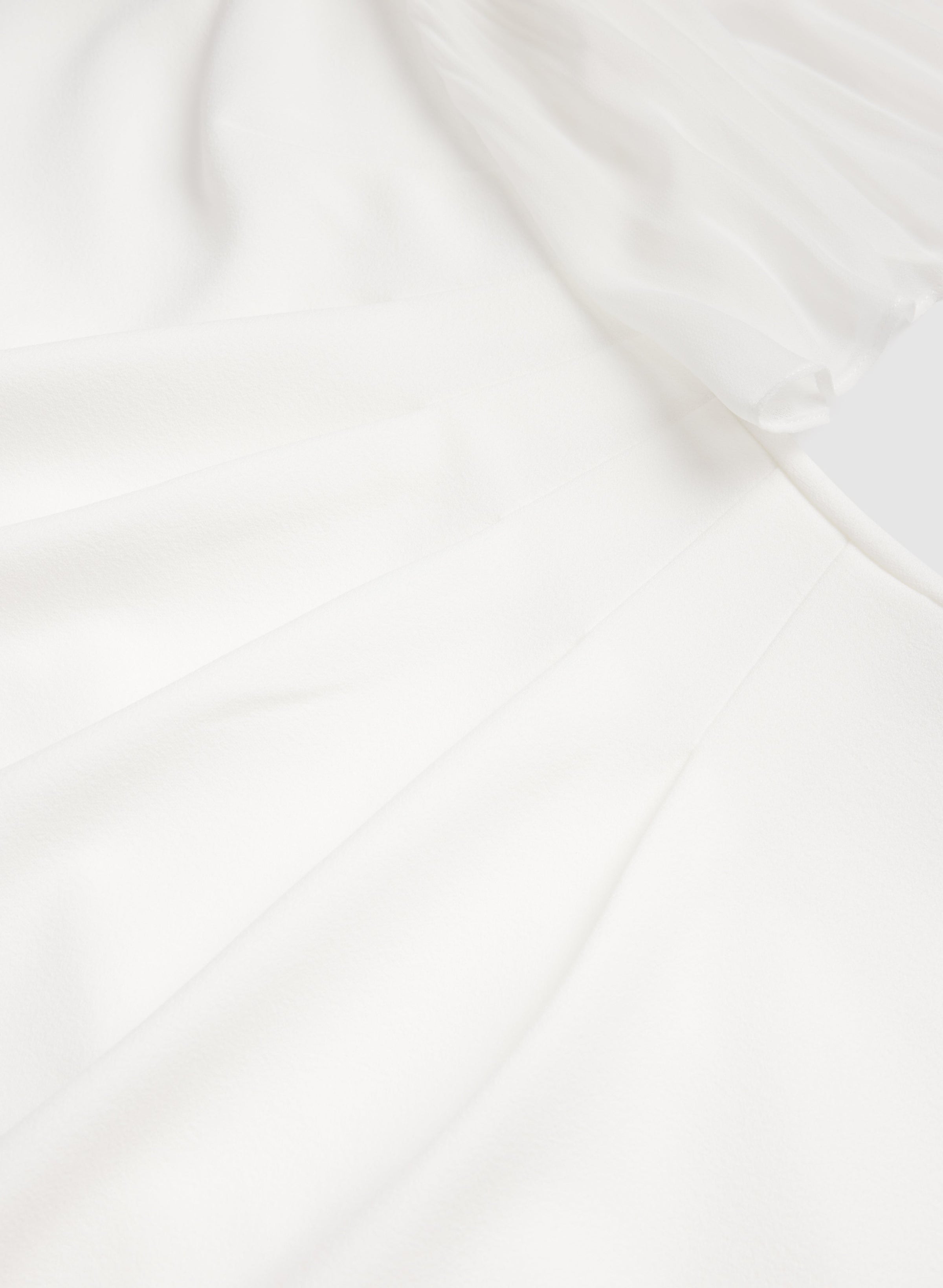 Pleated Chiffon Sleeve Dress