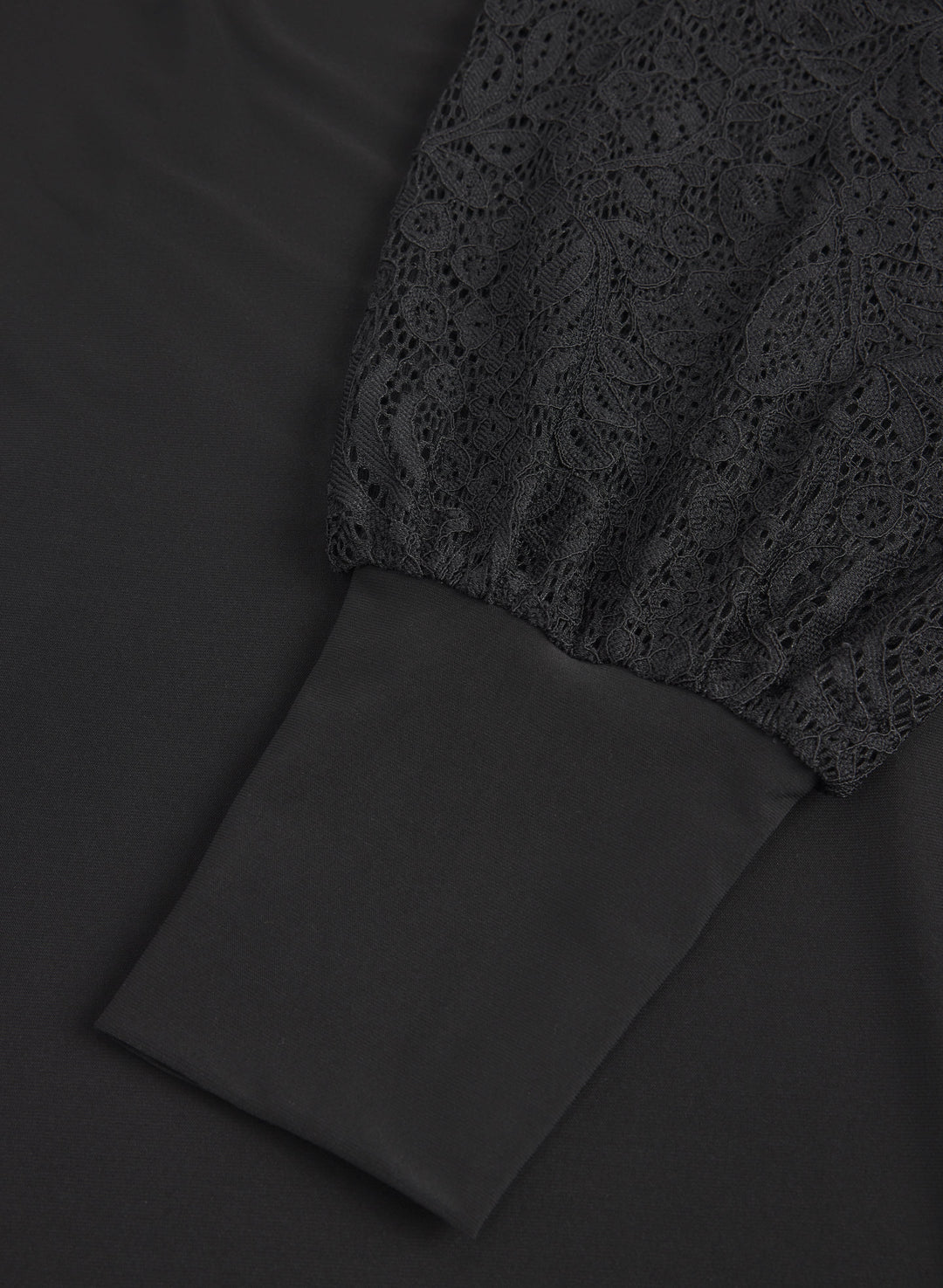 Lace Sleeve Dress