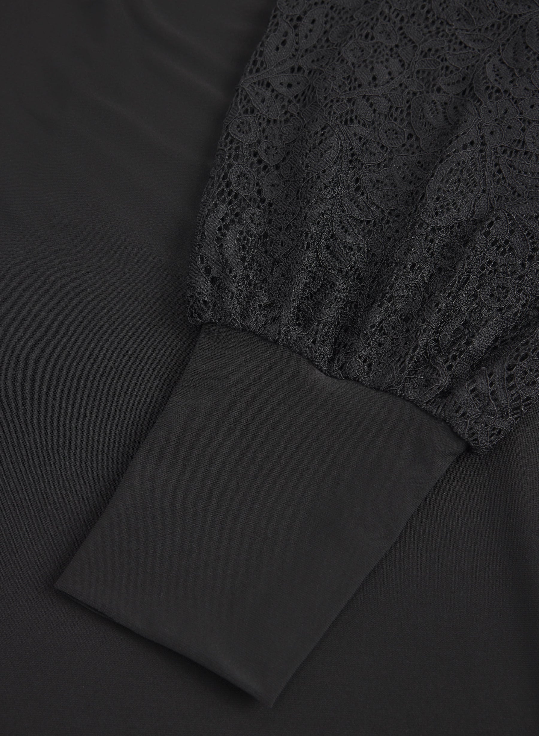 Lace Sleeve Dress