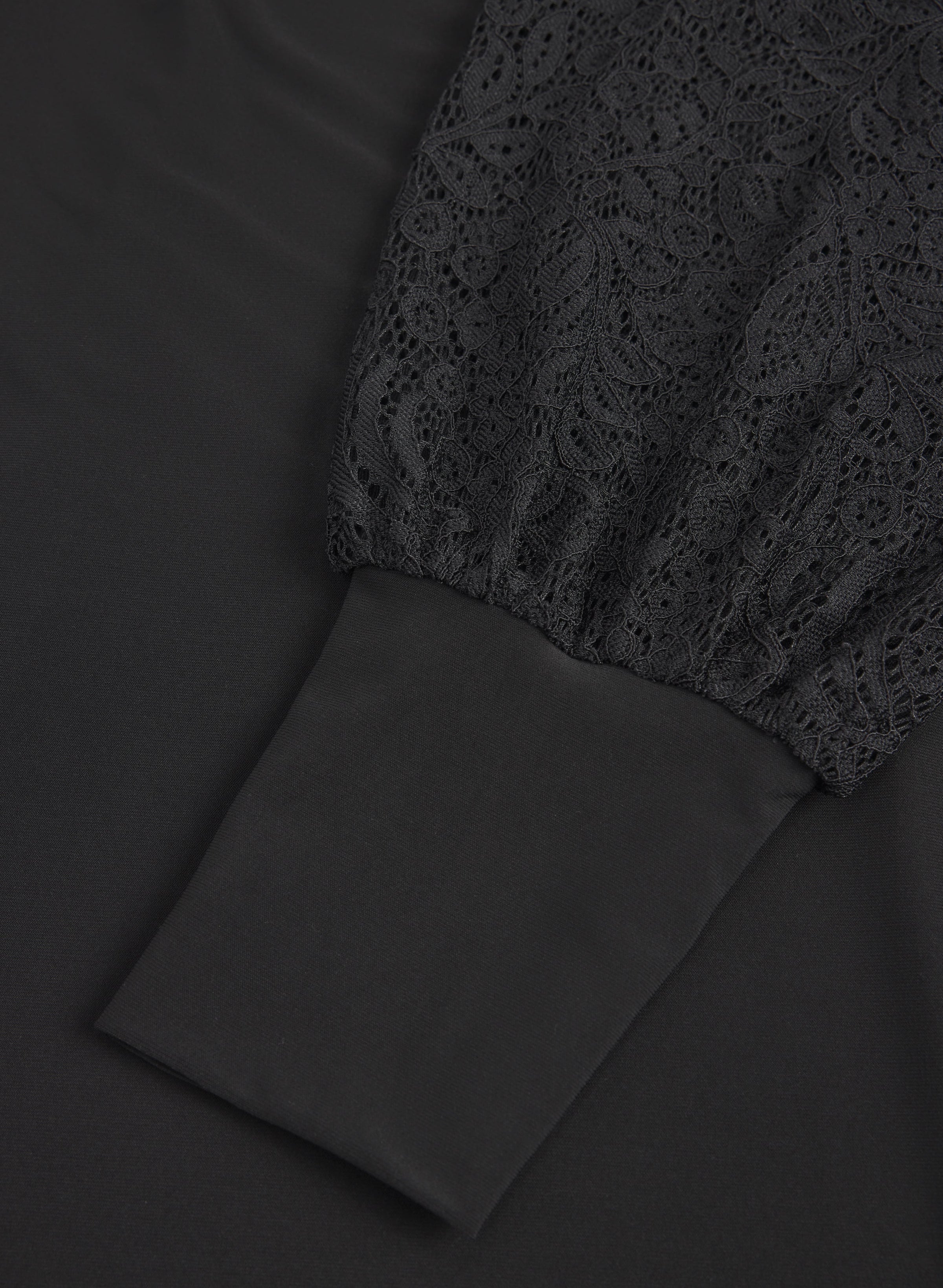 Lace Sleeve Dress