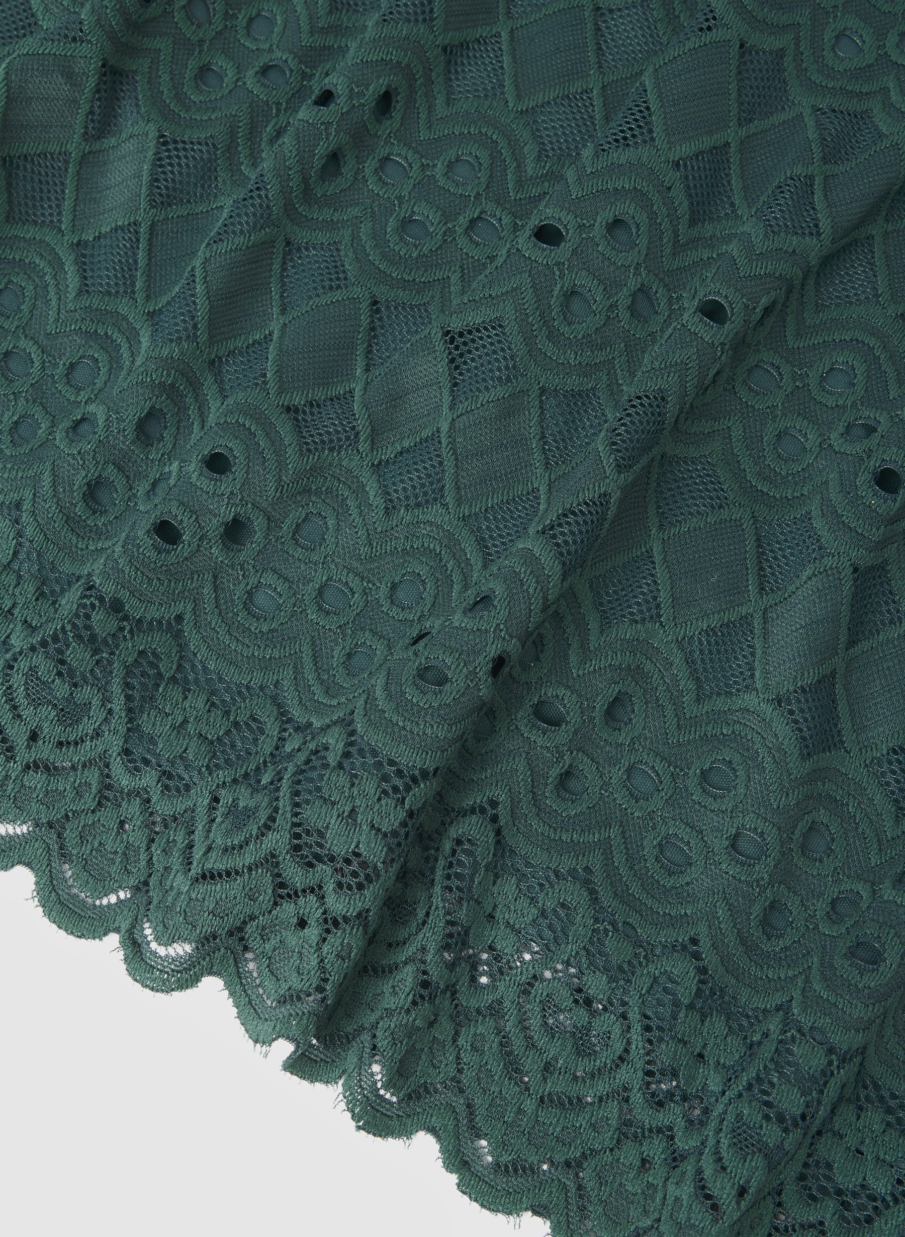 Fitted Lace Dress