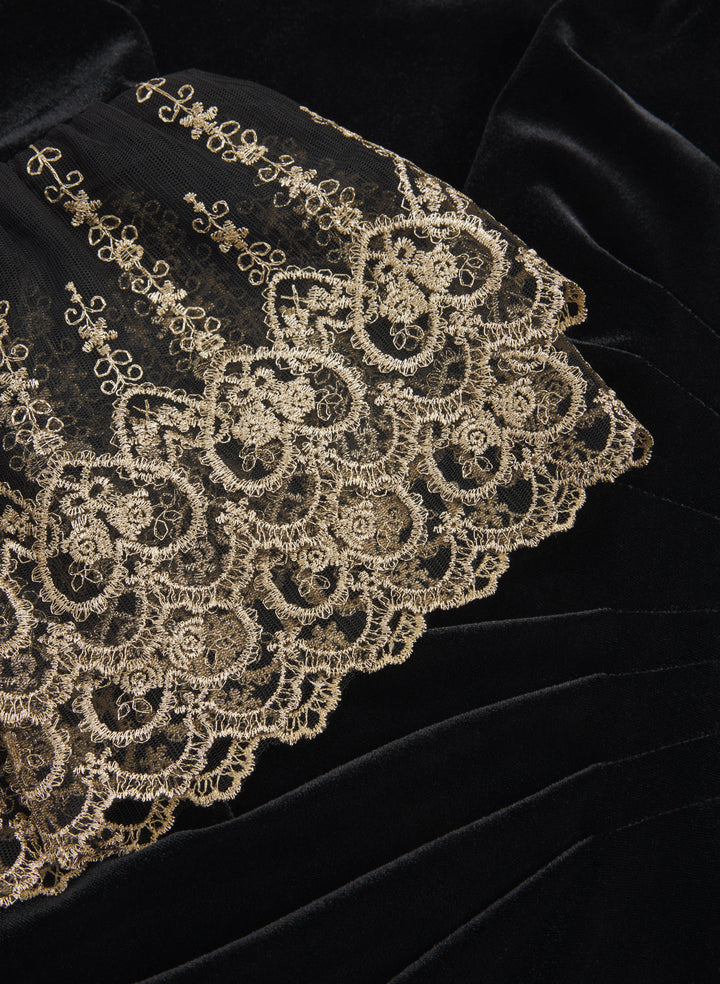Embroidered Sleeve Velvet Dress