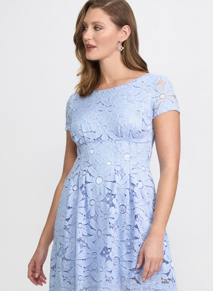 Lace Empire Waist Dress